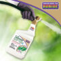 All Season® Horticultural Oil RTS – Bonide – 32OZ